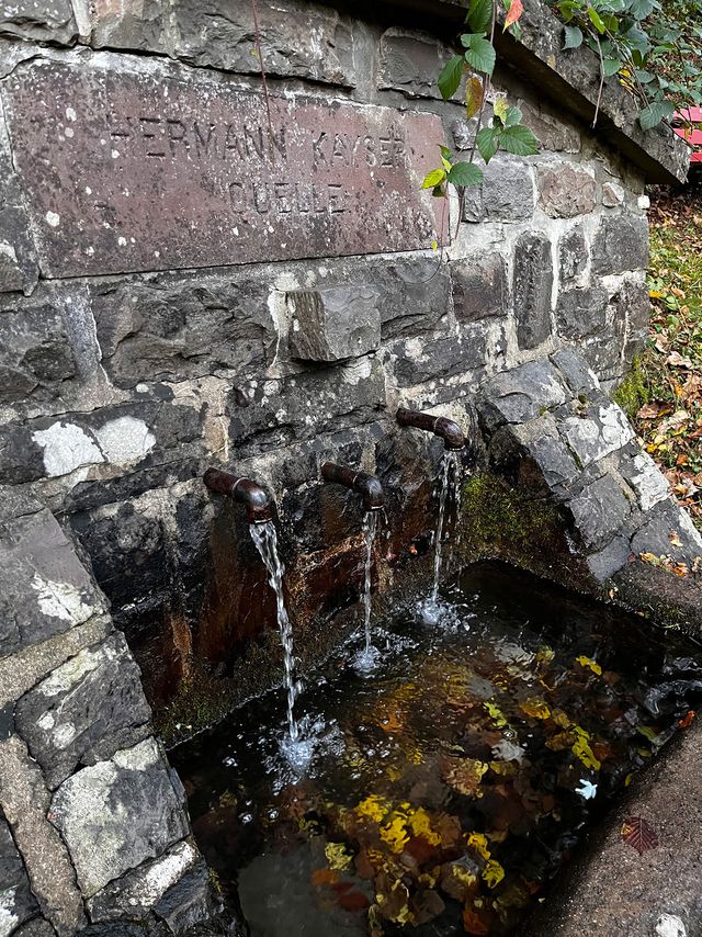 Wasserquelle, die Quelle des Lebens.